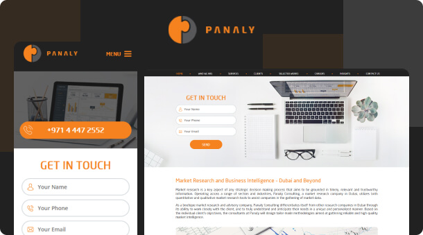 New Website and SEO Services for Panaly Consulting