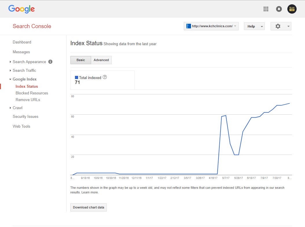 Google Webmaster Index Status